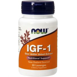 IGF-1